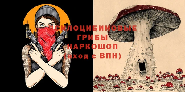 PSILOCYBIN Вязники