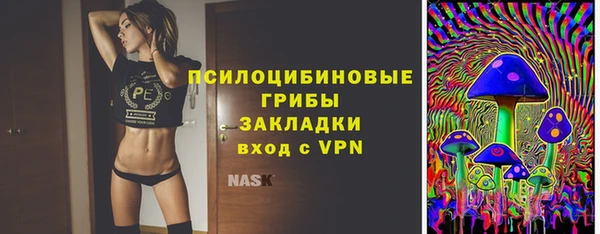 прущий лед Горно-Алтайск