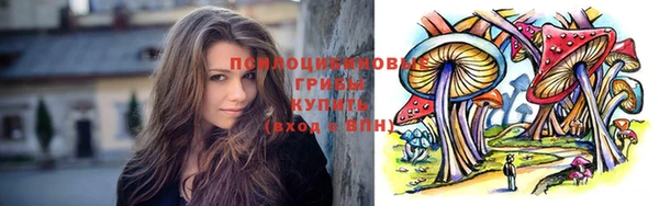 jwh Вязьма
