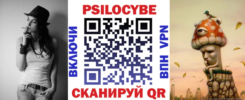 Галлюциногенные грибы Psilocybe  Жирновск 